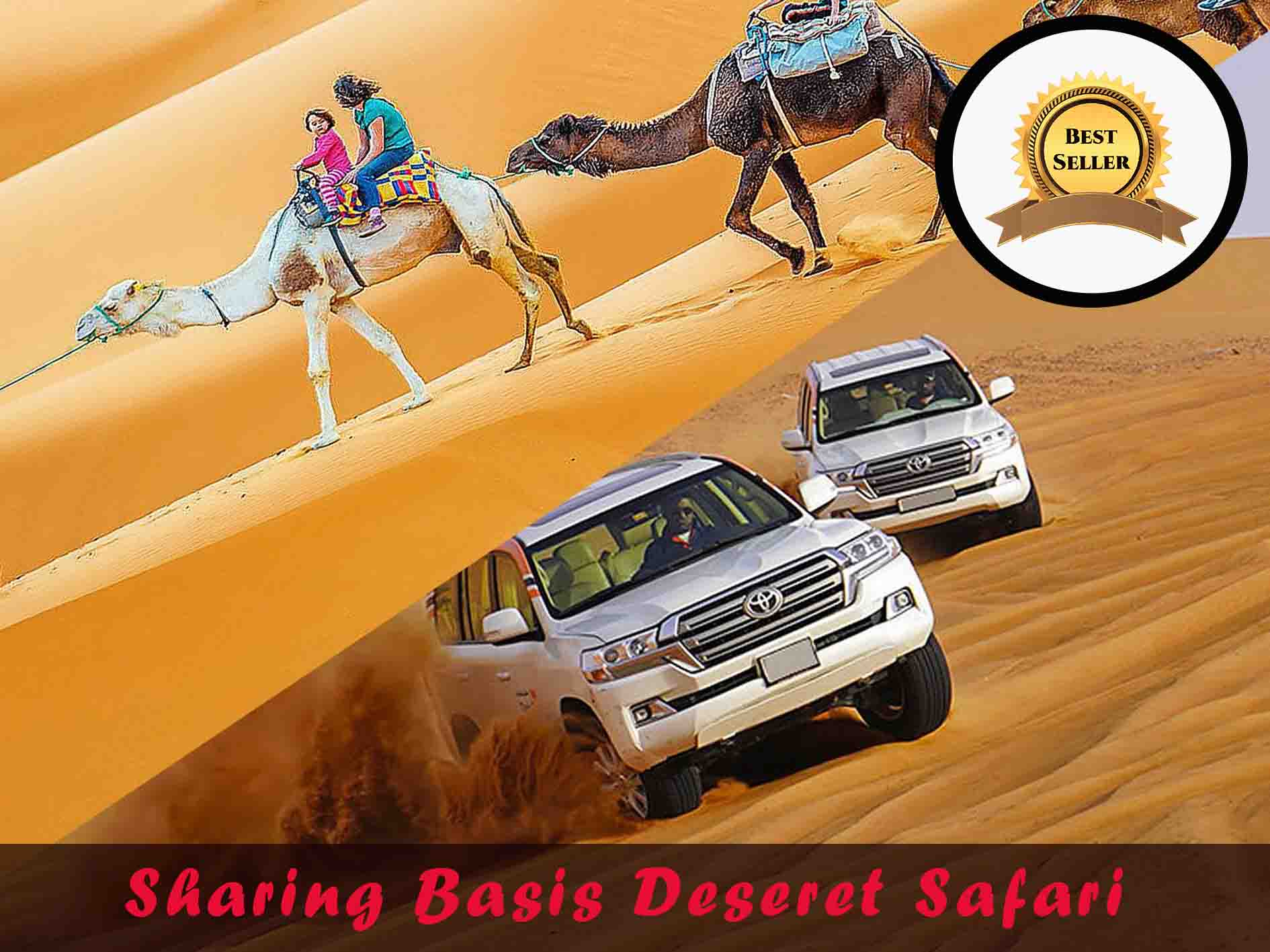 Sharing bases desert safari Tour